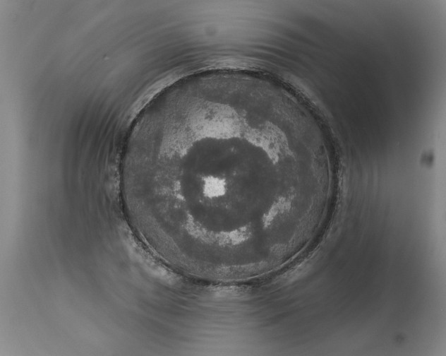 X0000113551025200910021525