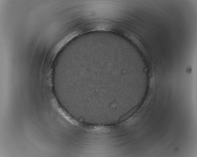 X0000113551026200910021525