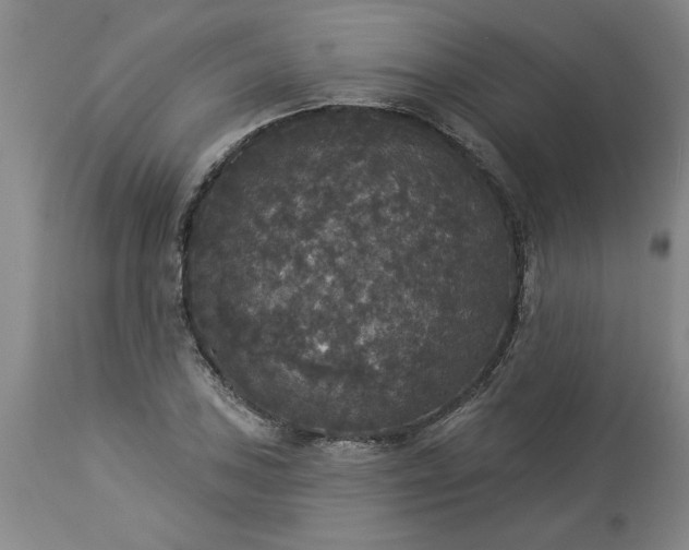 X0000113551027200910021525