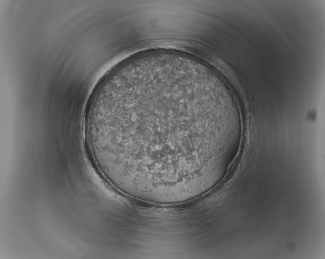 X0000113551028200910021525