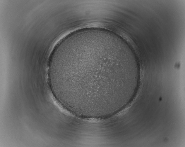 X0000113551029200910021525