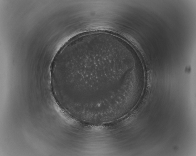 X0000113551031200910021525