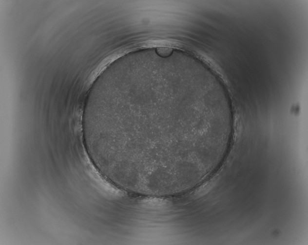 X0000113551033200910021525