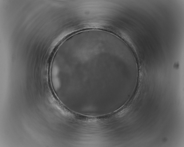 X0000113551035200910021525