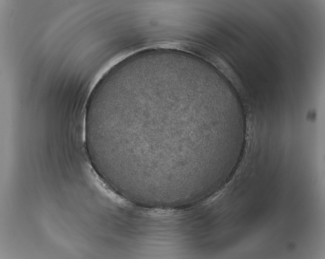 X0000113551036200910021525