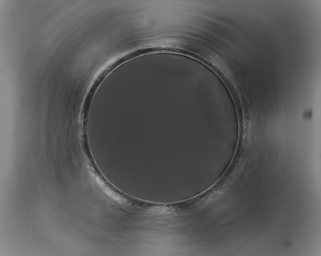 X0000113551037200910021525