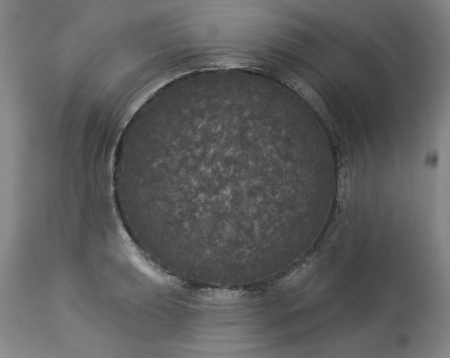 X0000113551039200910021526