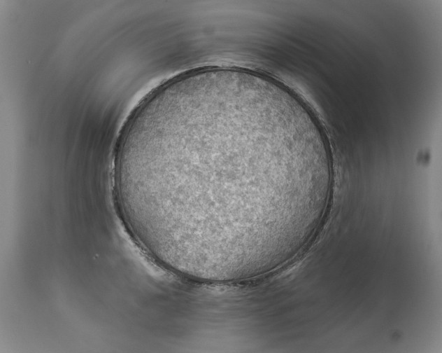 X0000113551040200910021526