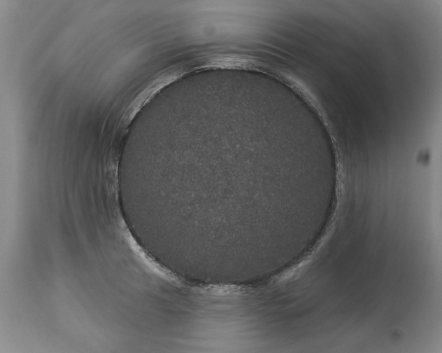 X0000113551041200910021526