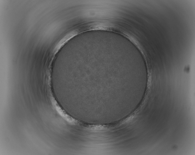 X0000113551042200910021526