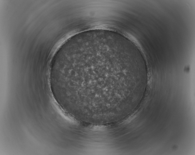 X0000113551043200910021526