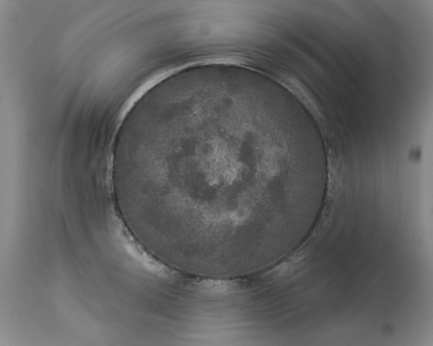 X0000113551044200910021526