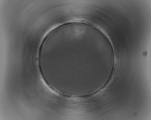 X0000113551045200910021526