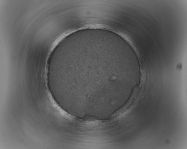 X0000113551046200910021526