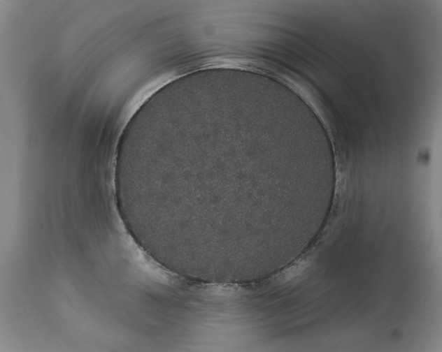 X0000113551050200910021526