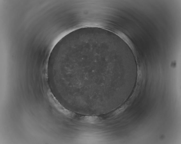 X0000113551052200910021526