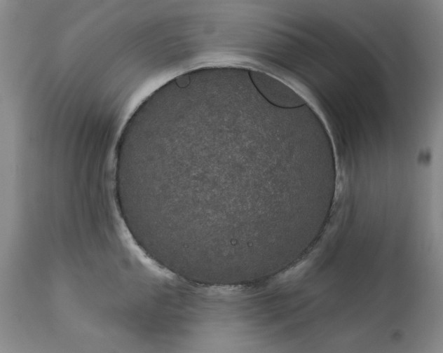 X0000113551053200910021526