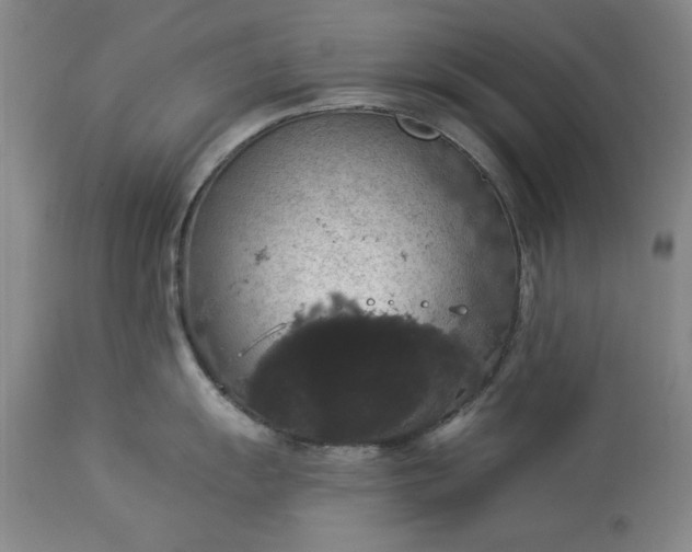 X0000113551055200910021526