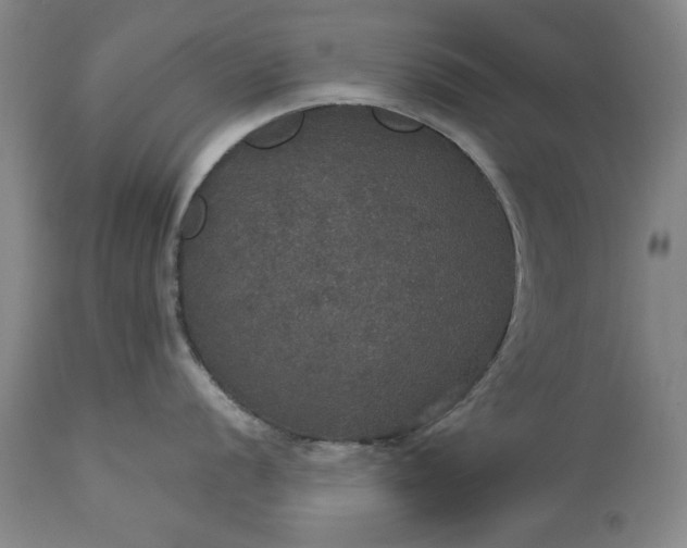 X0000113551056200910021526