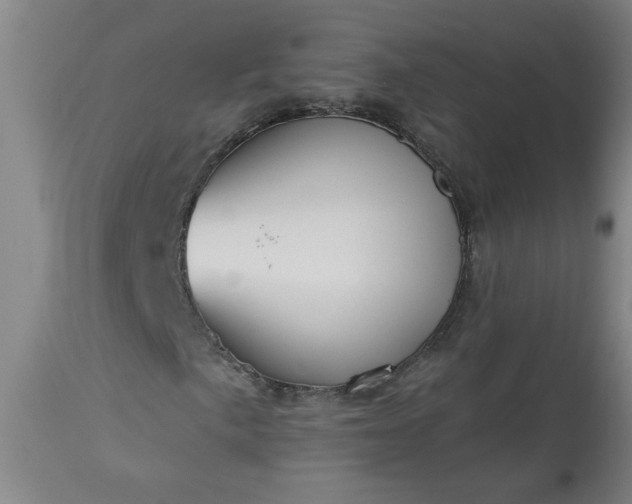 X0000113551057200910021525