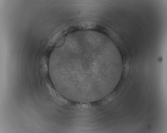 X0000113551058200910021525