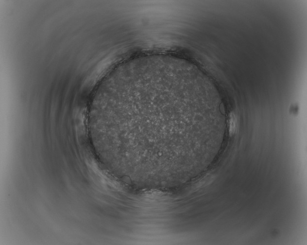 X0000113551059200910021525