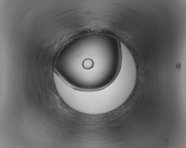 X0000113551060200910021525