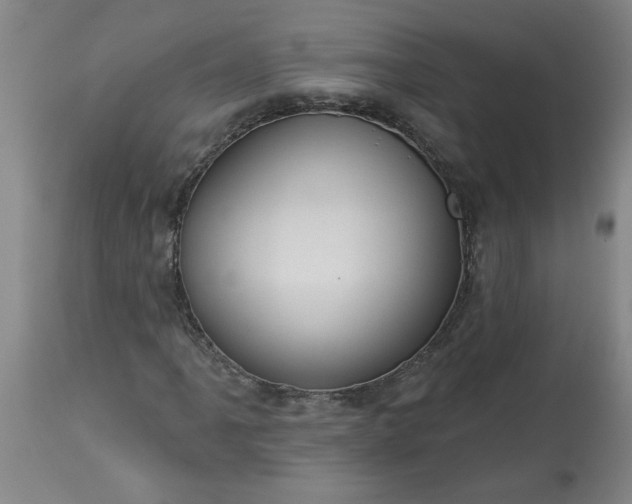 X0000113551061200910021525