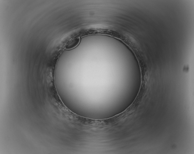 X0000113551062200910021525