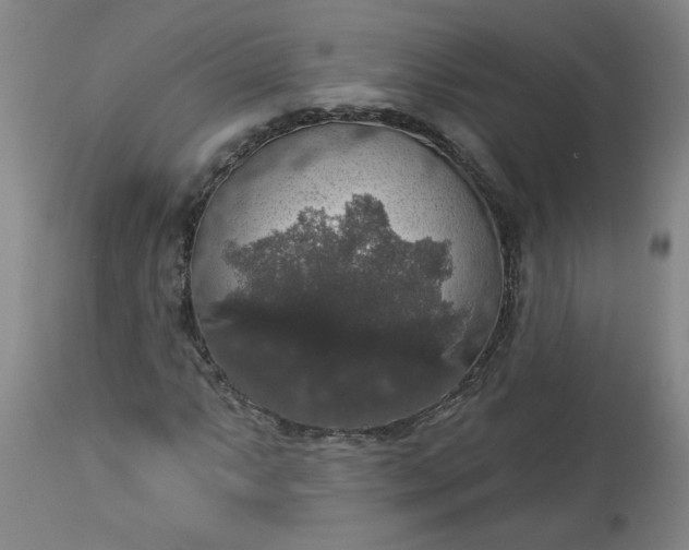 X0000113551063200910021525