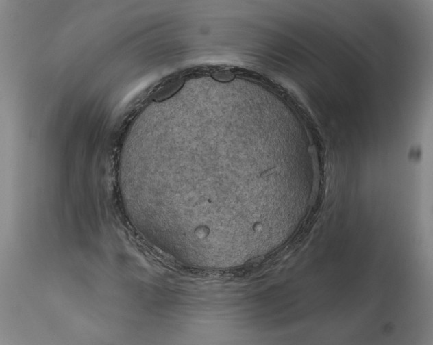 X0000113551064200910021525