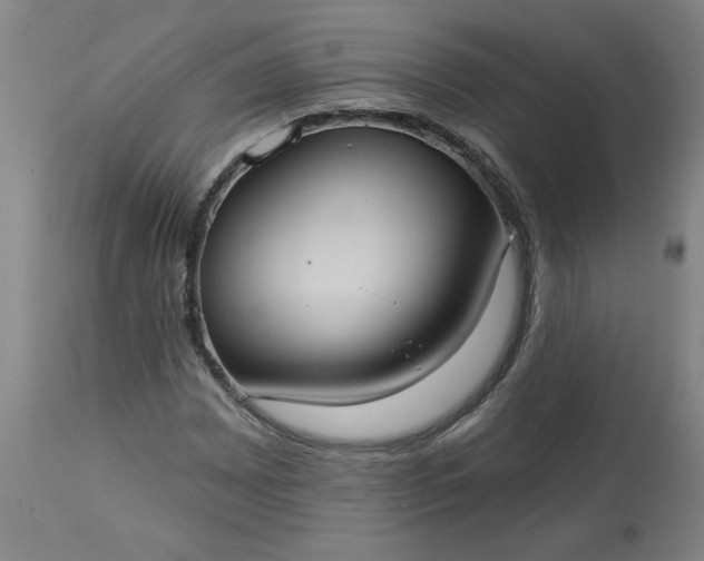 X0000113551065200910021525