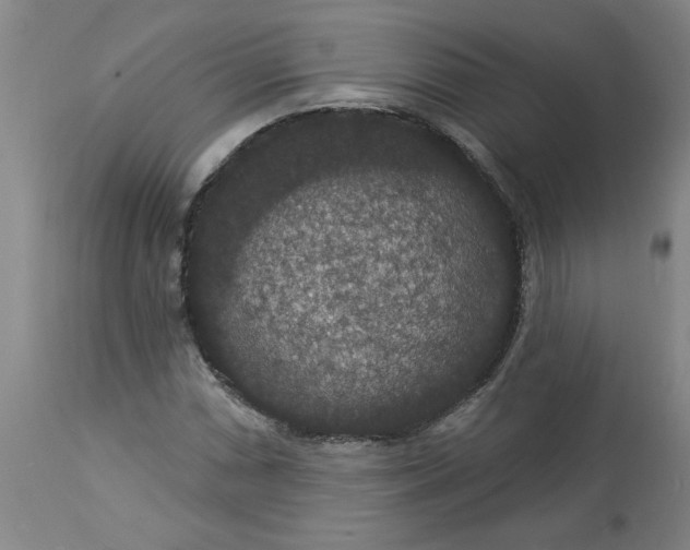 X0000113551066200910021525