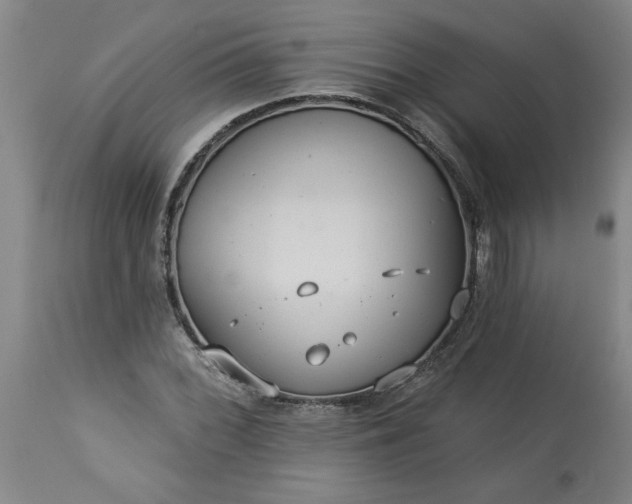 X0000113551068200910021525