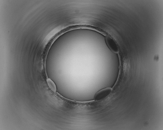 X0000113551069200910021525