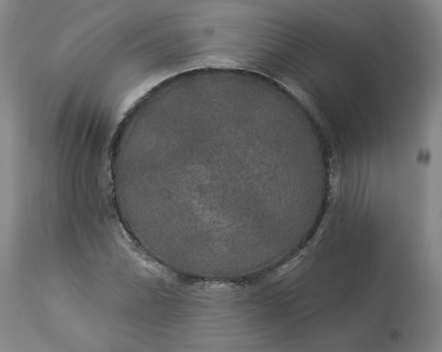 X0000113551070200910021525