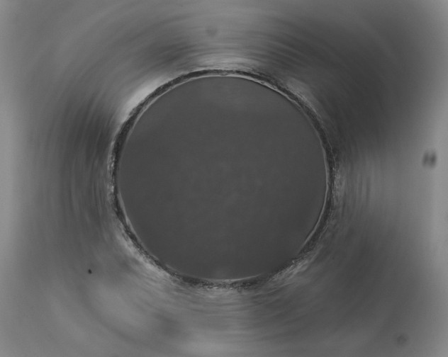 X0000113551071200910021525