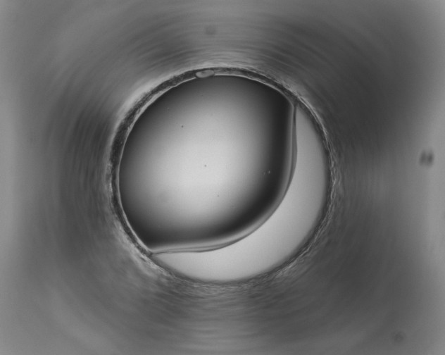 X0000113551072200910021525