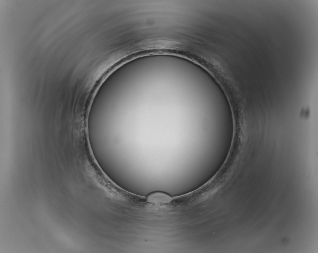 X0000113551073200910021525