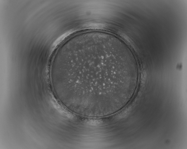 X0000113551074200910021525