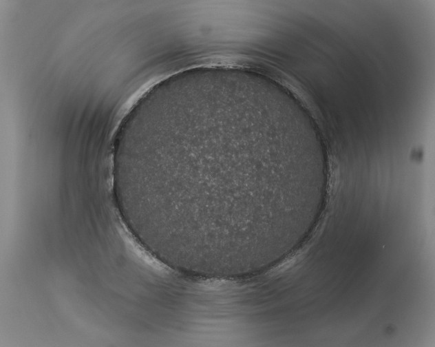 X0000113551075200910021525