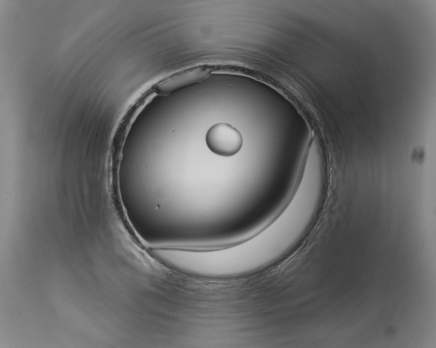 X0000113551076200910021525