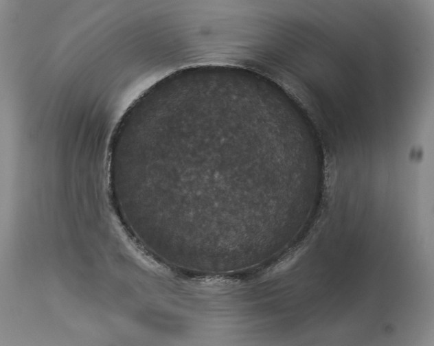 X0000113551077200910021525