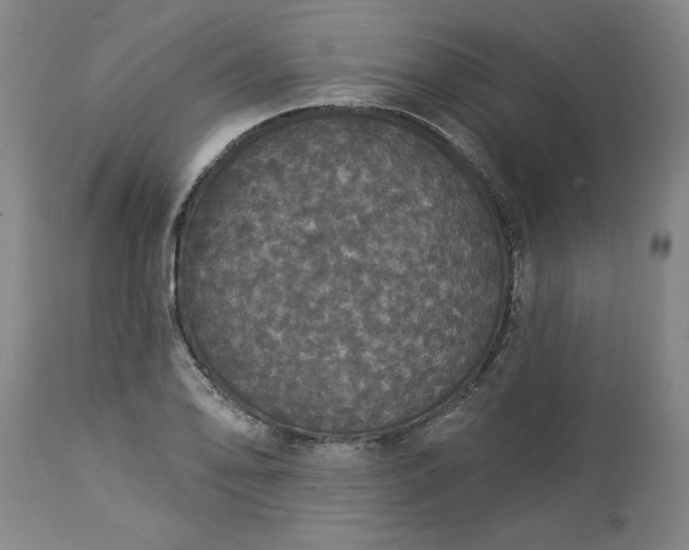 X0000113551078200910021525