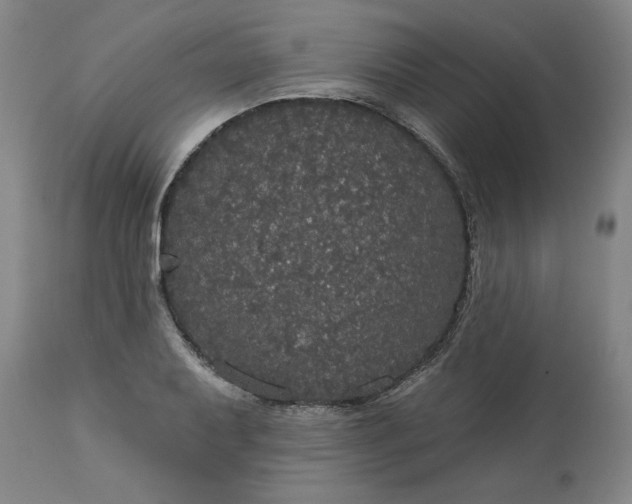 X0000113551079200910021525