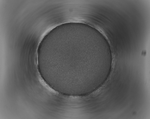 X0000113551080200910021525