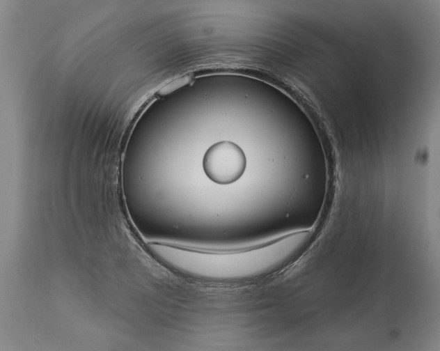 X0000113551081200910021525