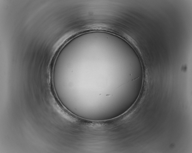 X0000113551082200910021525