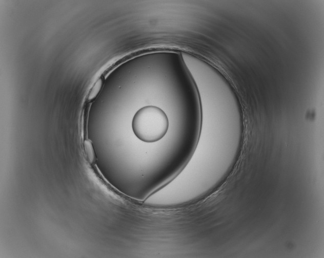 X0000113551084200910021525