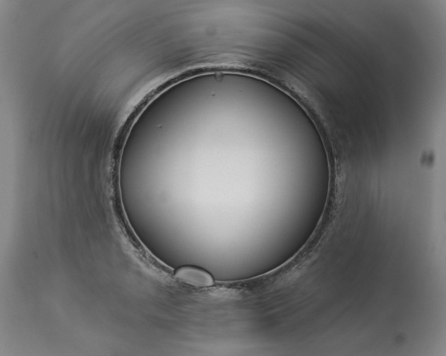 X0000113551085200910021525